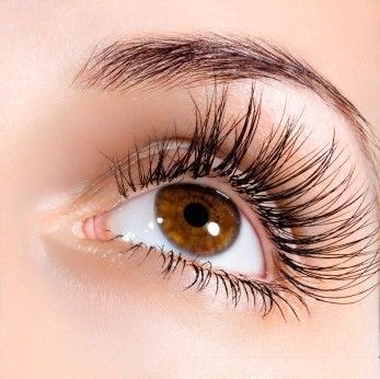 LATISSE  I OCTOBER SPECIAL